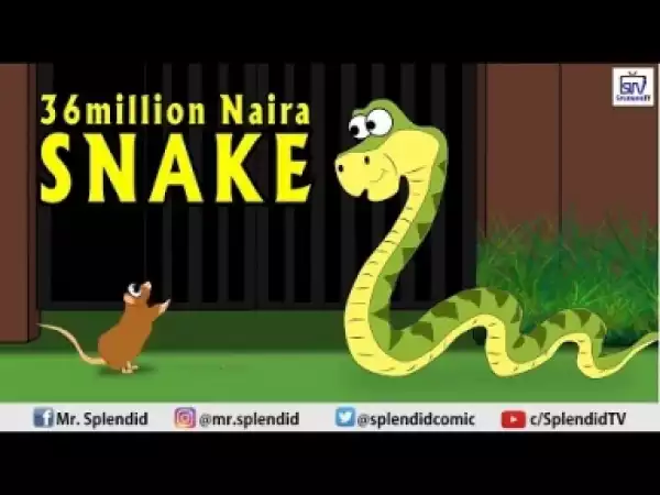 Video: Splendid TV – 36 Million Naira Snake